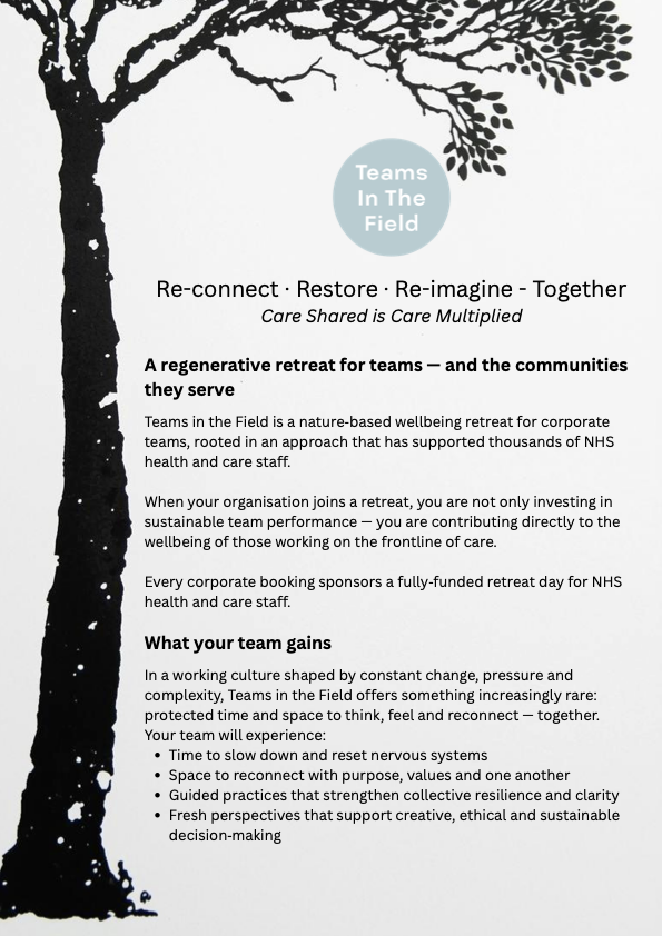 Teams in the Field flyer — page 1
