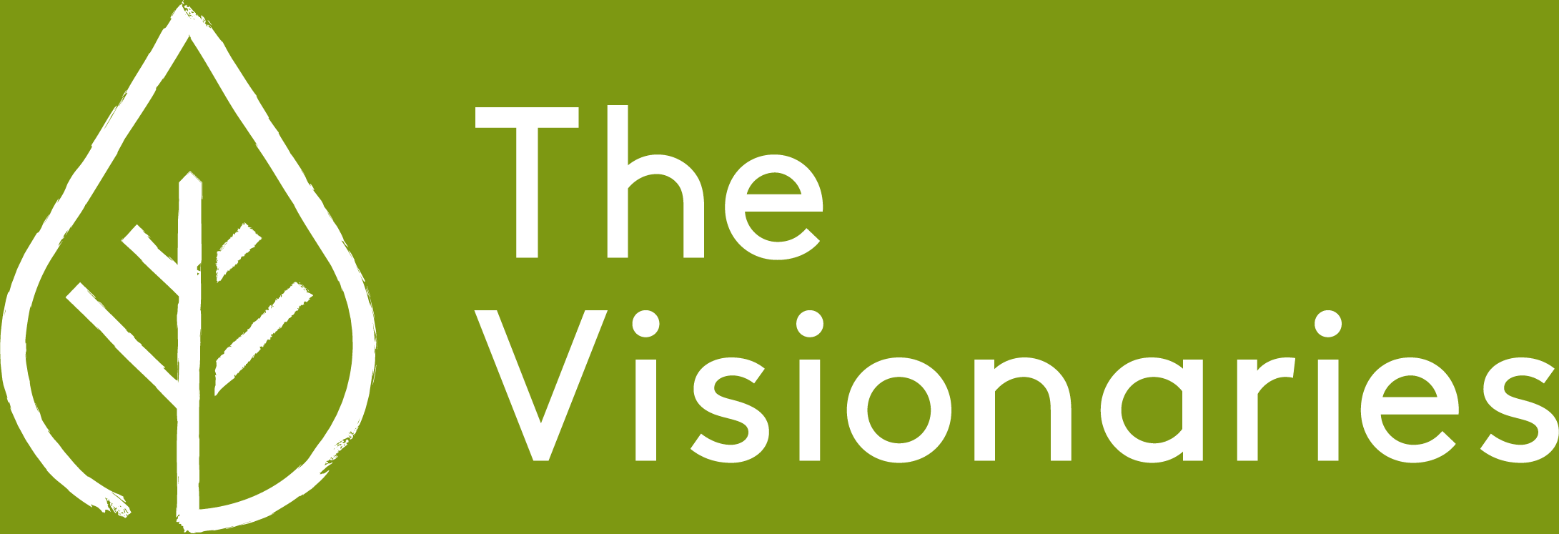The Visionaries logo